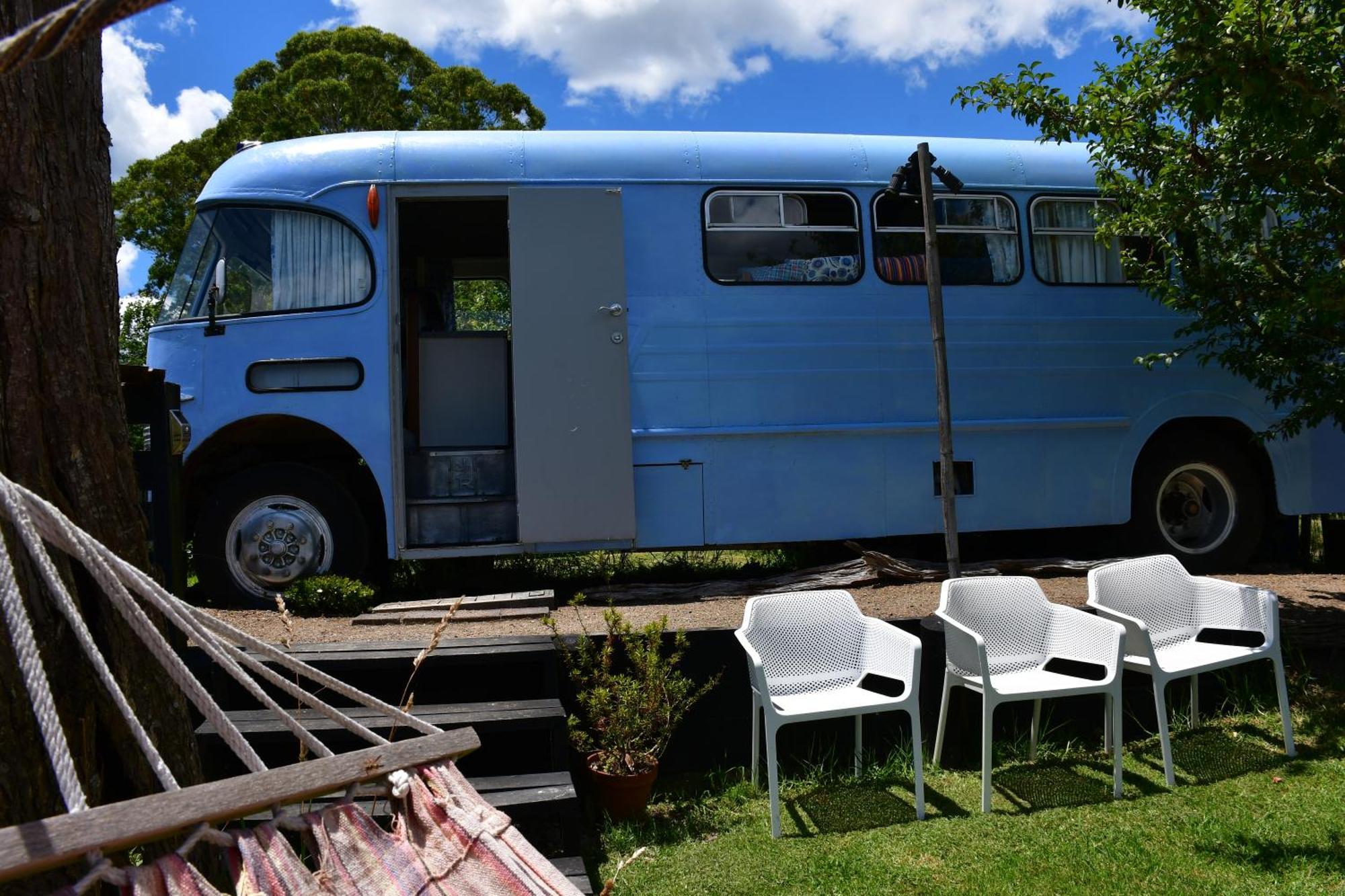 Evi The School Bus At Oromahoe Downs Farm Puketona Exterior photo