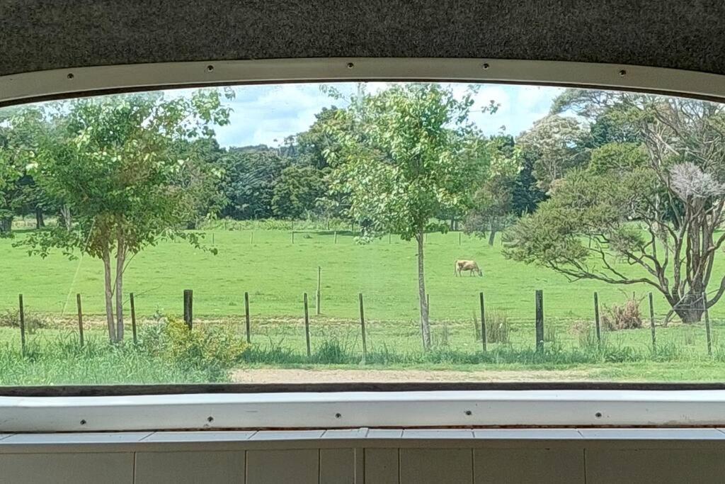 Evi The School Bus At Oromahoe Downs Farm Puketona Exterior photo